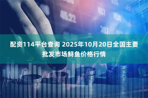 配资114平台查询 2025年10月20日全国主要批发市场鲟鱼价格行情