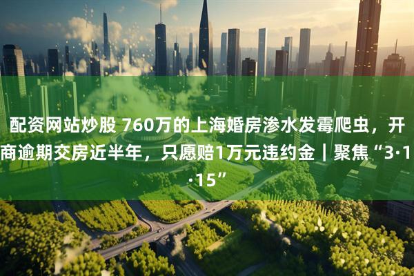 配资网站炒股 760万的上海婚房渗水发霉爬虫，开发商逾期交房近半年，只愿赔1万元违约金｜聚焦“3·15”