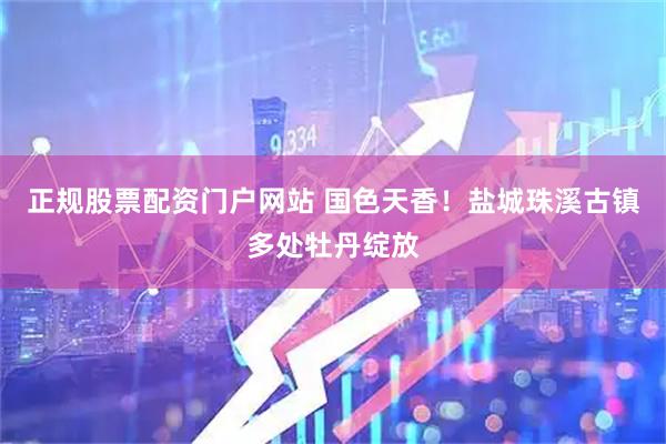 正规股票配资门户网站 国色天香！盐城珠溪古镇多处牡丹绽放