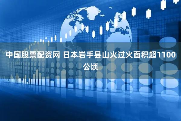 中国股票配资网 日本岩手县山火过火面积超1100公顷