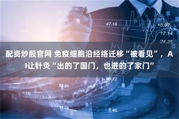 配资炒股官网 免疫细胞沿经络迁移“被看见”，AI让针灸“出的了国门，也进的了家门”